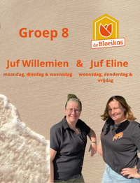 Groep 8